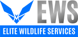 ews-logo