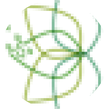 C avatar